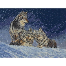 01136-5678000 Волки