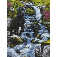 9880.0132.0173 Канва с рисунком Royal Paris, 37*47,5 см