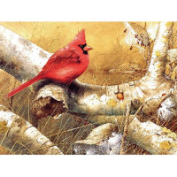Канва для вышивания, 35*27 см (296)
